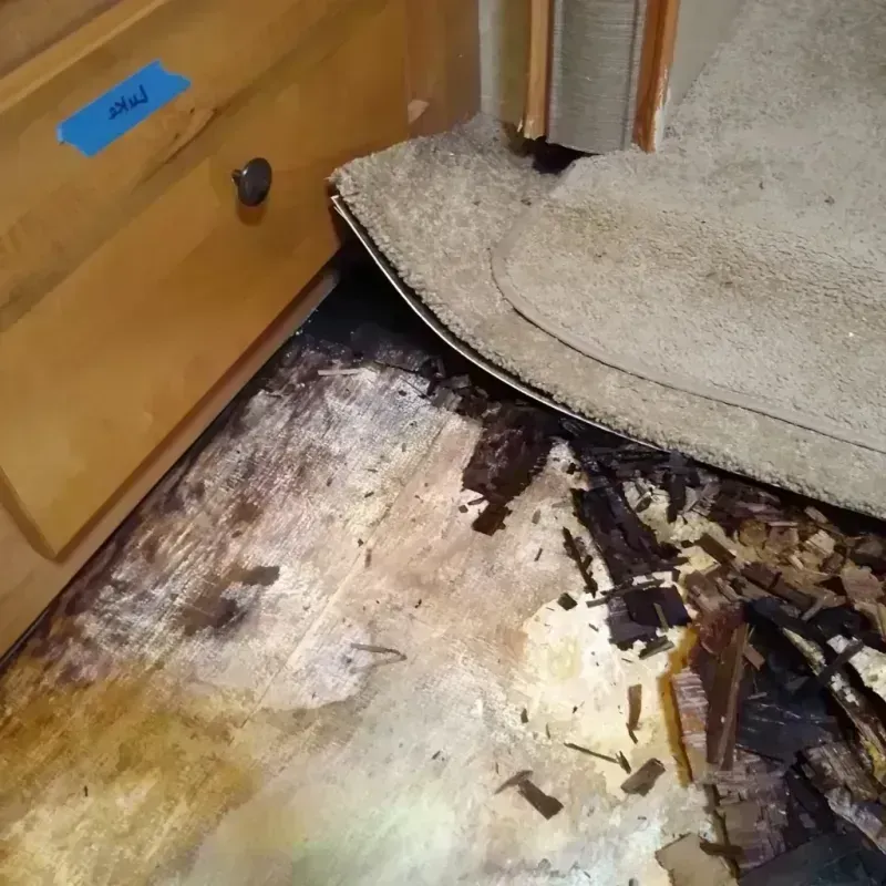 Best Wood Floor Water Damage Service in Siesta Shores, TX